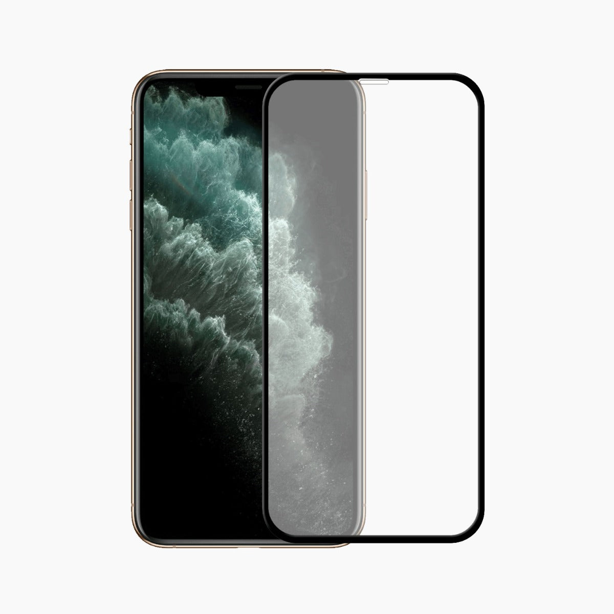 Apple iPhone 11 Pro Max Accessory