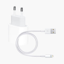 iPad Charger & Charging Cable