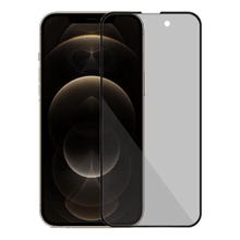Privacy Screenprotector iPhone 12 Pro Max